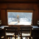 카페레오나 이미지