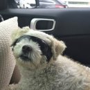 정원 양한방동물병원 이미지