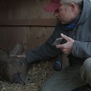 경이농장 이미지