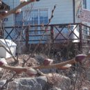 해가지는마을길 이미지