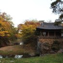 온가을054 이미지