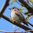 신진도pc 이미지