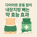 에이치씨푸드 | 다이어트 운동 없이 내장지방 빼는 약 효능 효과
