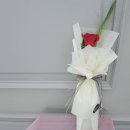 디자인휴먼 이미지