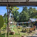 호스텔 27 | [치앙마이여행] 치앙마이 올드타운 호스텔 더 야드 (The Yard) 추천후기 | 치앙마이 올드타운 숙소 추천