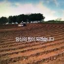 동해시-50 이미지