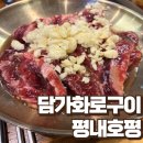 1237 | [호평동 맛집] '담가화로구이 평내호평점' 가성비 정말 좋은 평내동 소고기집(feat. 드라마에 나오는...