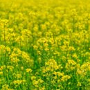 낙동강체육공원 인라인스케이트장+게이트볼장 이미지