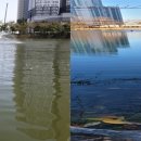 안흥유원지 이미지