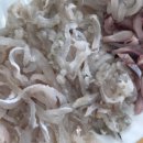 21호재진이네 이미지