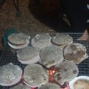 범도오토캠핑장 이미지