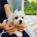 한서동물의료센터 이미지