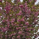 광주 천변길4 이미지