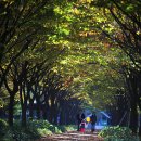 대전시청 이미지