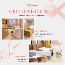 셀러브의원 이미지