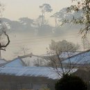 함평 자형정 이미지