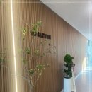 사라스튜디오