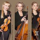 <필하모닉 다스 콰르텟 내한공연 (Philharmoniker Das Quartett)> 이미지