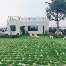 하도리 일번지 | 수영장이 있는 제주도 독채펜션 :: 하도리일번지