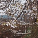 서로봄