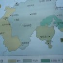 호소아청소년과