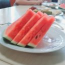 늘봄웰봄 이미지