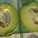 백종찬농장 이미지