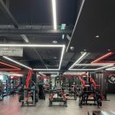 울프피트니스 이미지