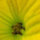 조리농업협동조합 이미지