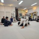 MMA주짓수 | 다산킥복싱 성인 취미활동 팀스트롱 다산MMA 주짓수 후기