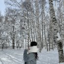 내천경로식당 | [삿포로] 훗카이도랩 비에이투어(스탠다드) 여행꿀팁 공유, 내돈내산 추천후기