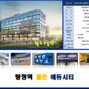 젤존 이미지