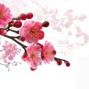 동산(중방) 이미지