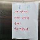 베니키아 호텔 카카오 이미지