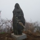 합동운수 이미지