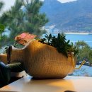 용두홍어 | 목표해상케이블카, 백련사, 다산초당, 다산박물관