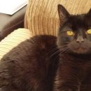 이웃집 동물병원 이미지