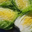 김주연농장 이미지