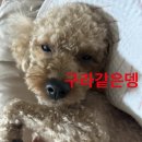 채은농장 | 십일월인데난아직구월이야세상이너무빨라내가느린게절대아냐