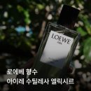 아이레 | 로에베 아이레 수틸레사 엘릭시르 구매 후기