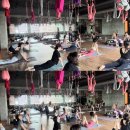 태광프라자약국 | 유나의 여섯번째 일기 : 동천동요가에서 함께해요~