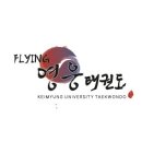 계명대 FLYING 영웅 태권도장 이미지