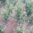 나눔농원 이미지