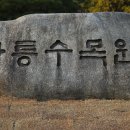 경기 포천 광릉수목원 이미지