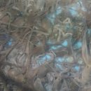 득량수산 이미지