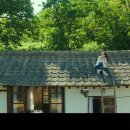 리틀포레스트 이미지