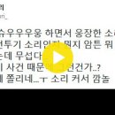 2022년 12월28일 댓글모음... (인천 등에서 발생한 굉음에 대하여...) 이미지