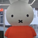 자갈치맘 | 미피카페 부산 영도 미피스토어 주차 위치 내부 자갈치에디션 구매후기