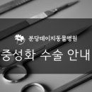 데이지동물병원 이미지