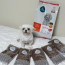 고려사료주식회사 | 가수분해 사료 피니키 저알러지 강아지사료